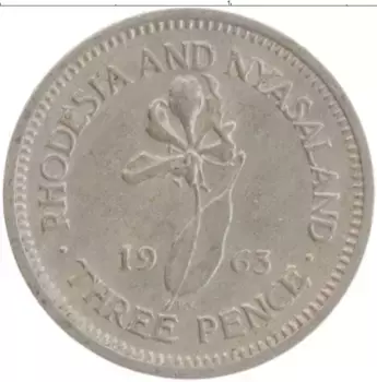 Монета 3 пенса Родезии 1963 года Медно-никель Елизавета II