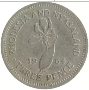Монета 3 пенса Родезии 1964 года Медно-никель Елизавета II