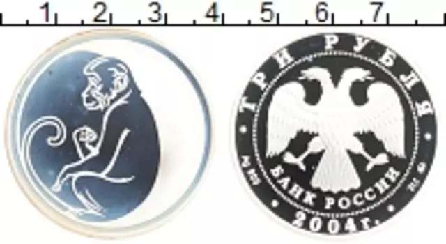 Монета 3 рубля России 2004 года Серебро Год Обезьяны