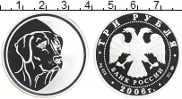 Монета 3 рубля России 2006 года Серебро Год собаки