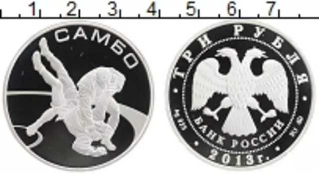 Монета 3 рубля России 2013 года Серебро Самбо