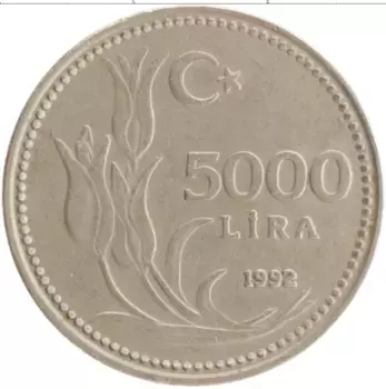 Монета 5000 лир Турции 1992 года Медно-никель Ататюрк