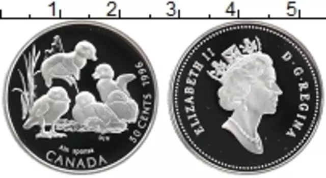 Монета 50 центов Канады 1996 года Серебро Детёныши животных