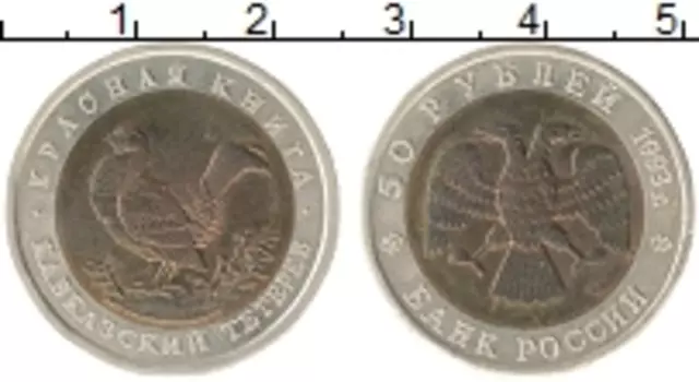 Монета 50 рублей России 1993 года Биметалл Кавказский тетерев