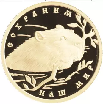 Монета 50 рублей России 2008 года Золото Сохраним наш мир - Речной бобр