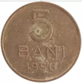 Монета 5 бани Румынии 1956 года Латунь