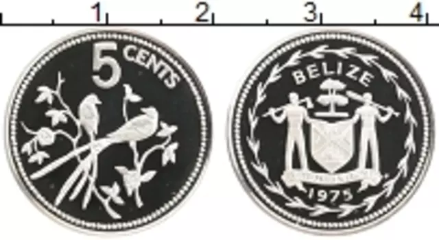 Монета 5 центов Белиза 1975 года Серебро