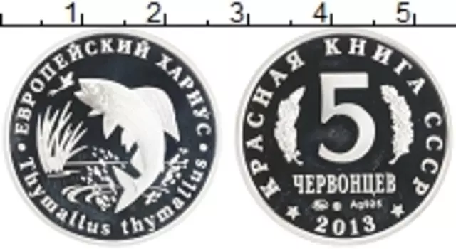 Монета 5 червонцев России 2013 года Серебро Европейский хариус