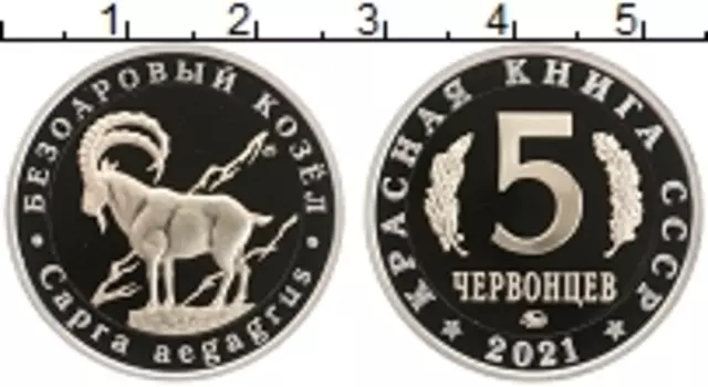 Монета 5 червонцев России 2021 года Биметалл UNUSUAL