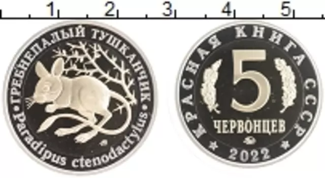 Монета 5 червонцев России 2022 года Биметалл Красная книга - Гребнепалый тушканчик