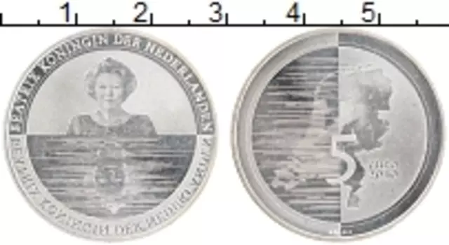 Монета 5 евро Нидерланд 2010 года Посеребрение Ватерланд