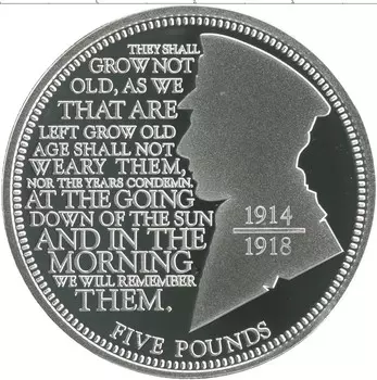 Монета 5 фунтов Тристан-да-Куньи 2014 года Серебро 100 лет начала Первой Мировой войны