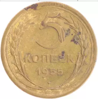 Монета 5 копеек СССР 1955 года Бронза