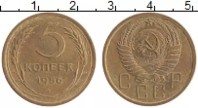 Монета 5 копеек СССР 1956 года Бронза