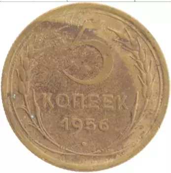 Монета 5 копеек СССР 1956 года Бронза