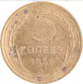 Монета 5 копеек СССР 1956 года Бронза