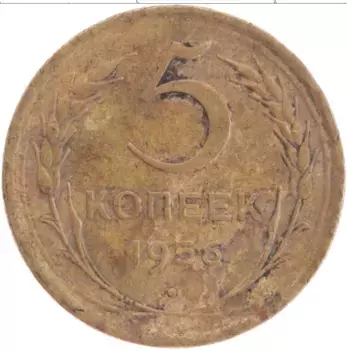 Монета 5 копеек СССР 1956 года Латунь