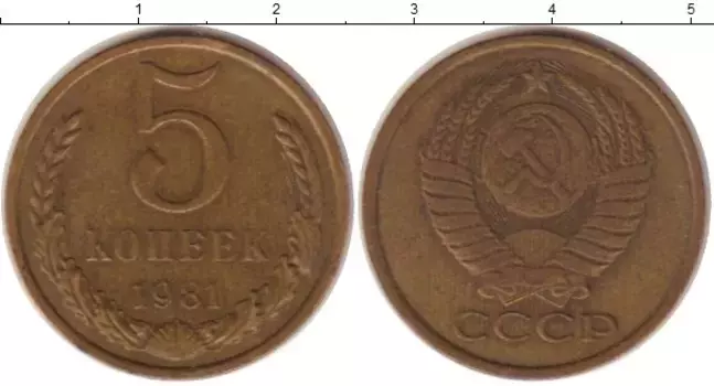 Монета 5 копеек СССР 1981 года Латунь