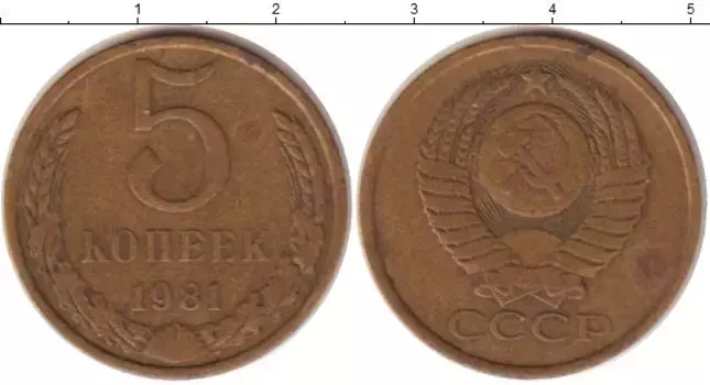 Монета 5 копеек СССР 1981 года Латунь