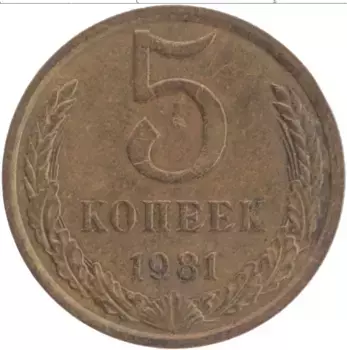 Монета 5 копеек СССР 1981 года Латунь