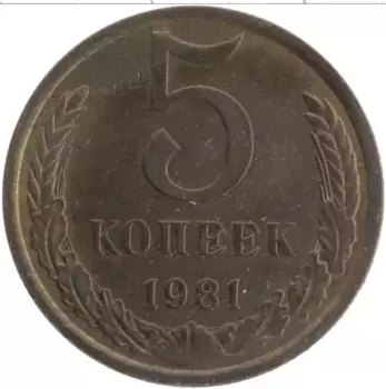 Монета 5 копеек СССР 1981 года Латунь