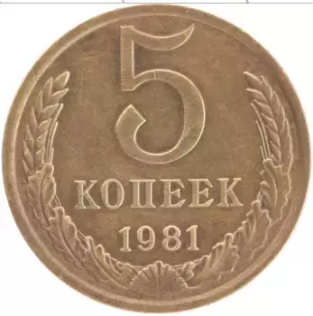 Монета 5 копеек СССР 1981 года Латунь