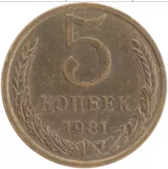 Монета 5 копеек СССР 1981 года Латунь