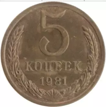 Монета 5 копеек СССР 1981 года Латунь