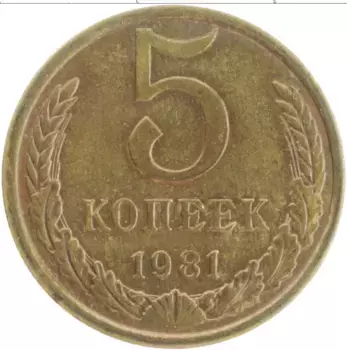 Монета 5 копеек СССР 1981 года Латунь