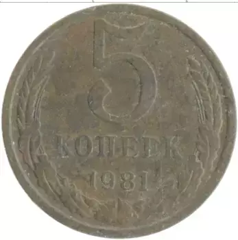 Монета 5 копеек СССР 1981 года Латунь