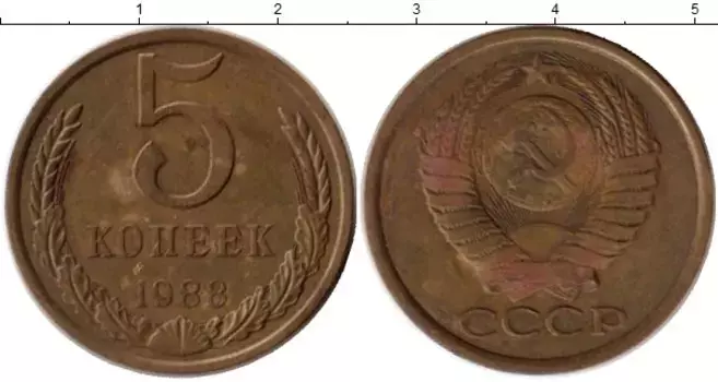 Монета 5 копеек СССР 1988 года Латунь