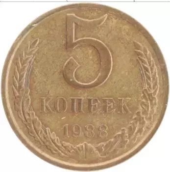 Монета 5 копеек СССР 1988 года Латунь