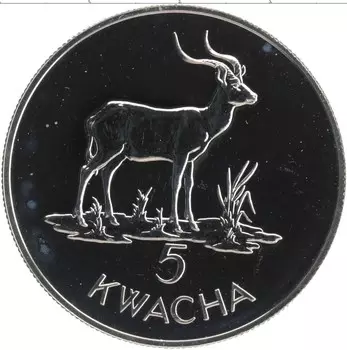 Монета 5 квач Замбии 1979 года Серебро Сохранение животного мира
