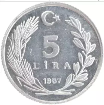 Монета 5 лир Турции 1987 года Алюминий