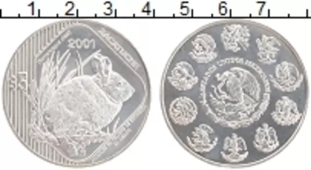 Монета 5 песо Мексики 2001 года Серебро Бесхвостый кролик