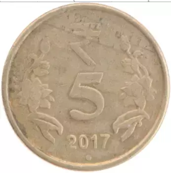 Монета 5 рупий Индии 2017 года Латунь