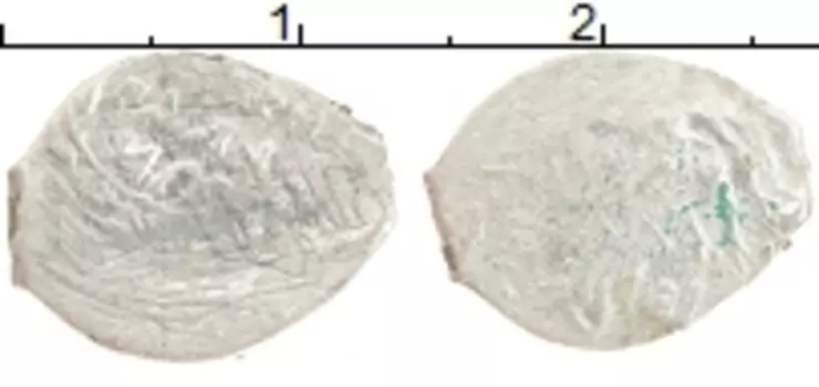 Монета денга Серебро Даниил Борисович1423-1429