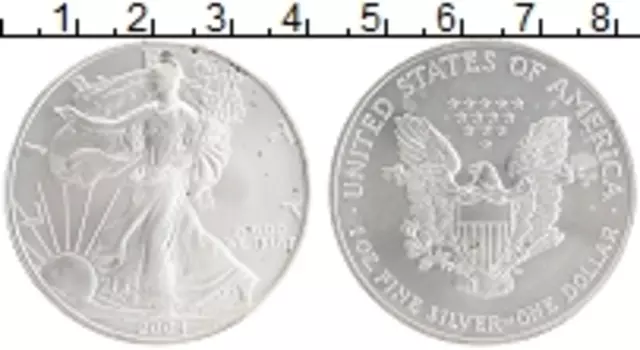 Монета доллар Америки 2004 года Серебро Шагающая Свобода