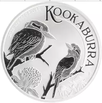 Монета доллар Австралии 2023 года Серебро Кукабурра