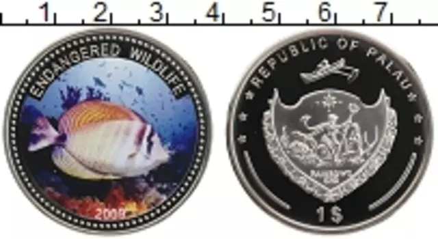 Монета доллар Палау 2009 года Медно-никель Защита морской жизни