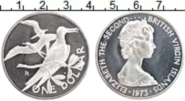 Монета доллар Виргинских островов 1973 года Серебро Елизавета II