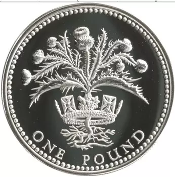 Монета фунт Англии 1984 года Серебро Елизавета II