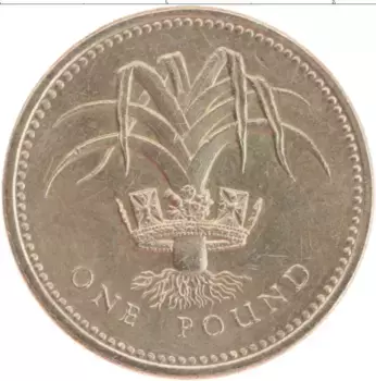 Монета фунт Англии 1990 года Латунь Елизавета II