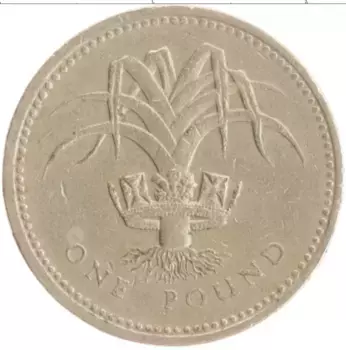 Монета фунт Англии 1990 года Латунь Елизавета II