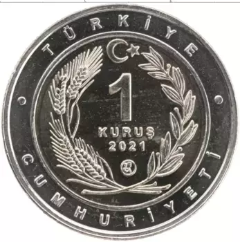 Монета куруш Турции 2021 года Биметалл Собака породы Каталбурун