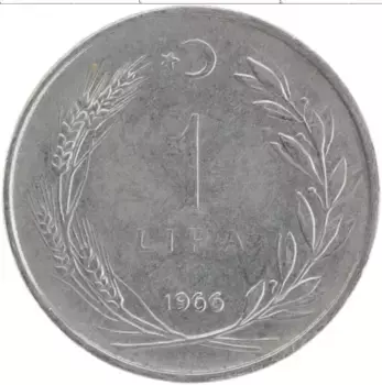 Монета лира Турции 1966 года Сталь