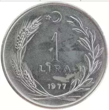 Монета лира Турции 1977 года Сталь