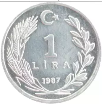 Монета лира Турции 1987 года Алюминий