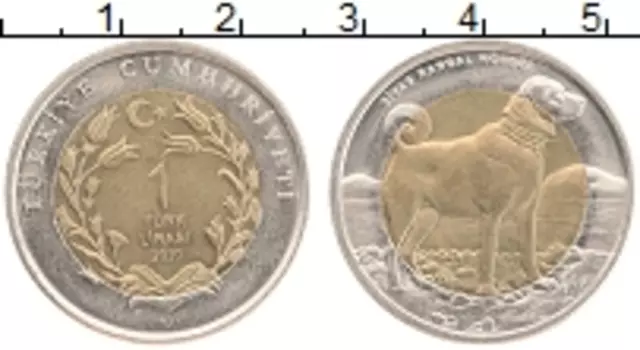 Монета лира Турции 2010 года Биметалл Собака