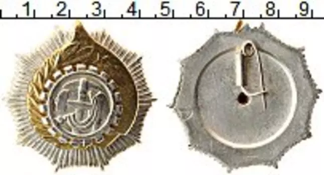 Монета Орден Албании Медно-никель Орден Труда